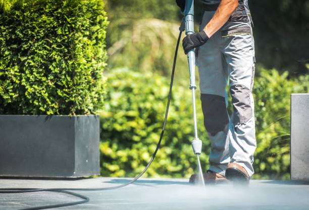 Animal Enclosure Cleaning in Red Bluff, CA